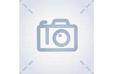 Как выбрать породу дерева для стола: дуб, ясень, бук или орех